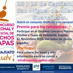 2º Concurso Estatal y 1º Nacional de Pinchos y Tapas, Guanajuato ¡Si Sabe!