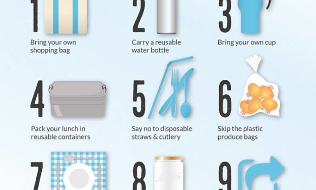 Reduce el plástico en tu casa y cocina